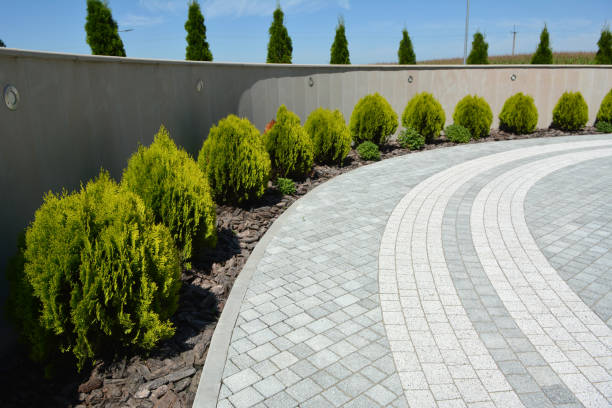 Best Brick Driveway Pavers  in Forsyth, MO